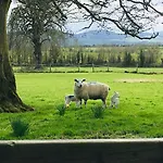 Lissanisky House Bed & Breakfast Ballymackey
