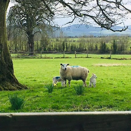 Lissanisky House B&B Ballymackey