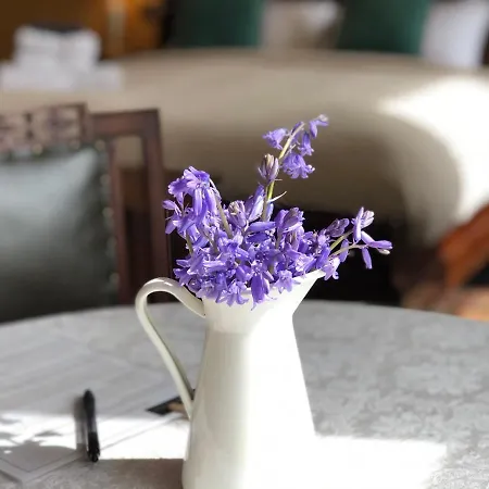 Lissanisky House Bed & Breakfast 4*