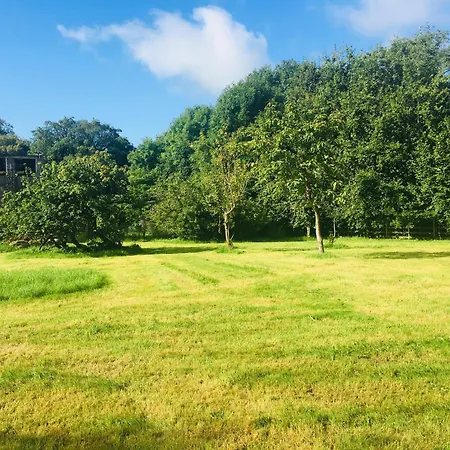 Bed & Breakfast Lissanisky House 4*