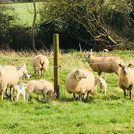 Lissanisky House 4* Ballymackey